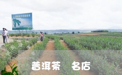 普洱茶 名店/2023091348462